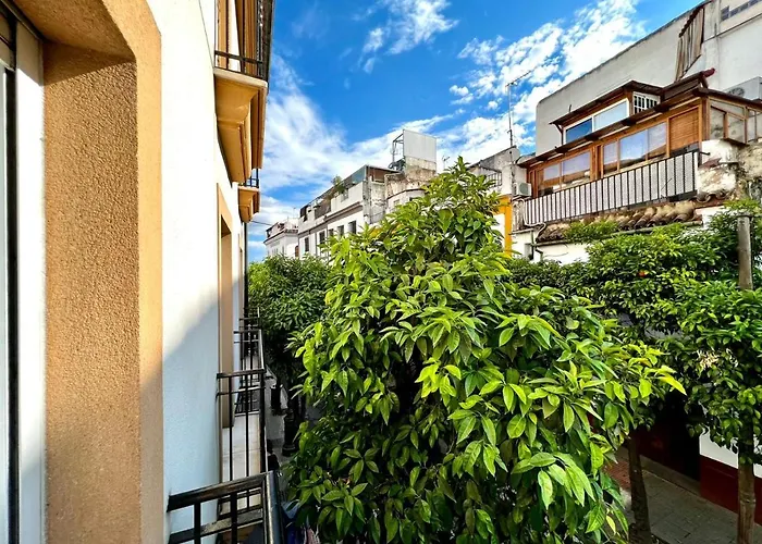 San Fernando De La Ribera