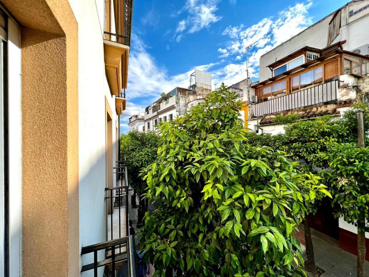 San Fernando De La Ribera *